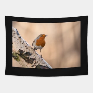 Robin on the silver perch Tapestry