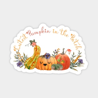 Cute and colorful pumpkins in the patch Magnet