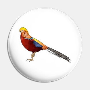 Golden pheasant bird cartoon illustration Pin