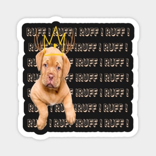 Puppy king Magnet