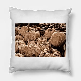 Fall Pumpkins 2 Pillow