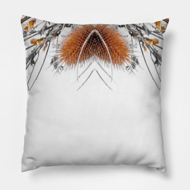 Bordered Cones Pillow by Shop of Mediocrity 