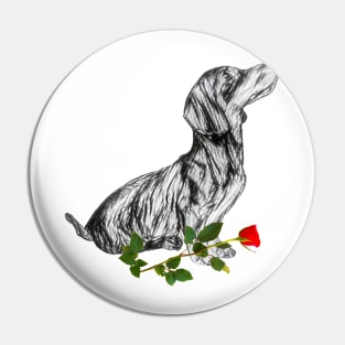 Valentines Dachshund With Rose Pin