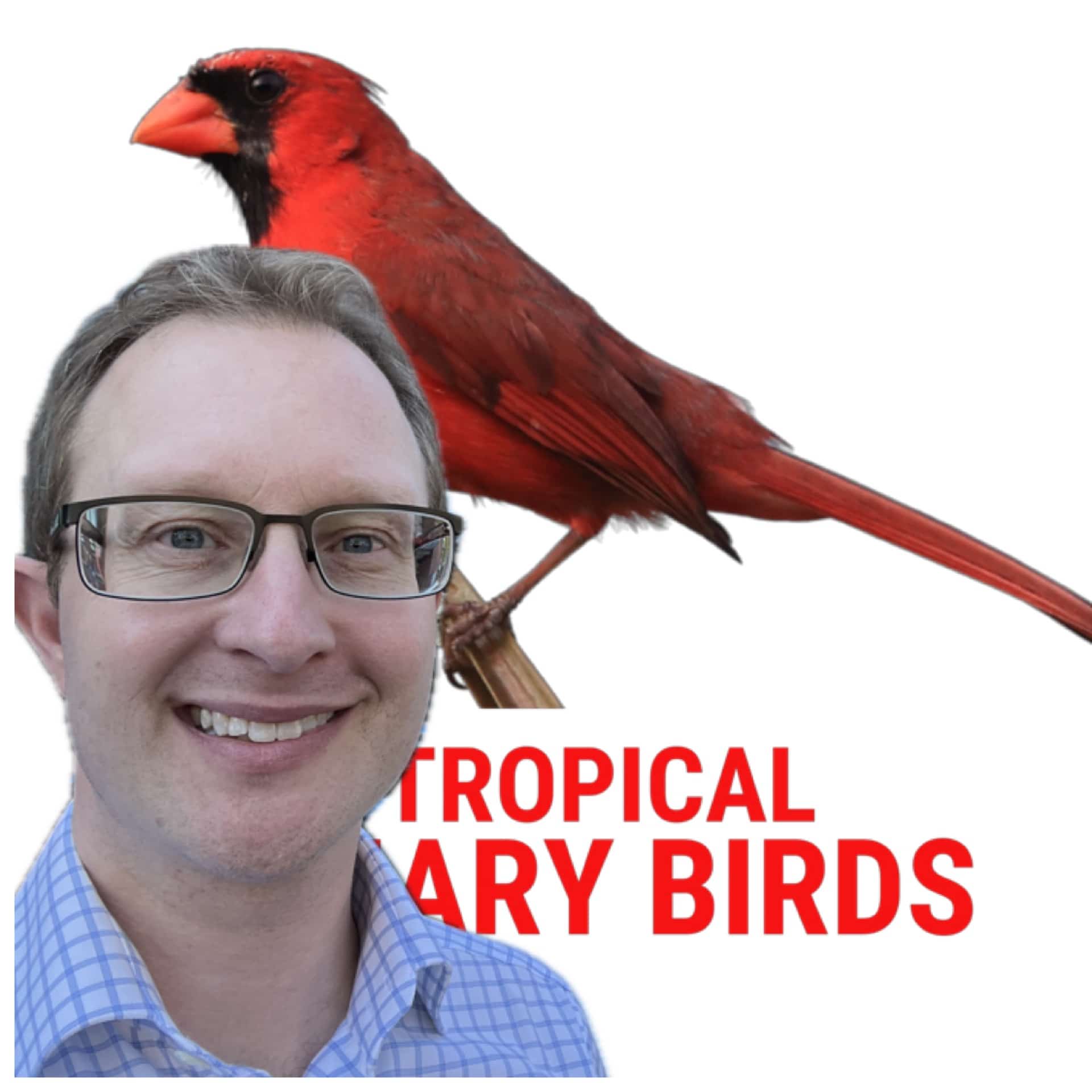 Tropical Aviary Birds - Torben Dehlholm profile image