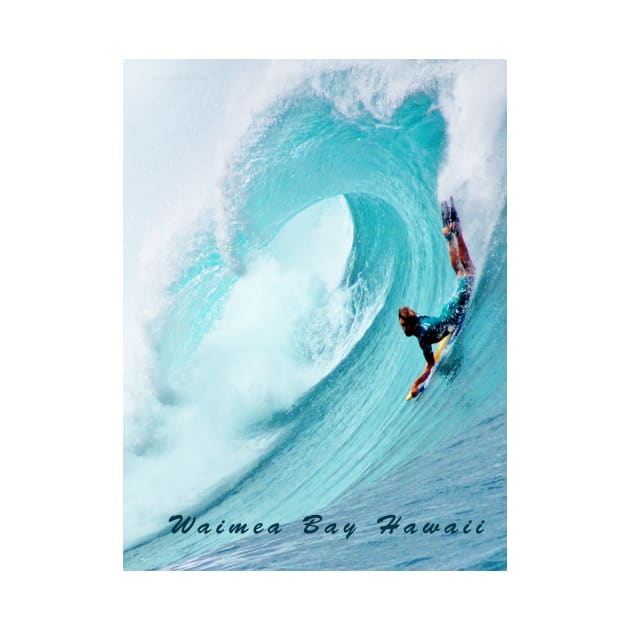 Waimea Big Wave Boogie T-Shirt by Sky Studio Hawaii