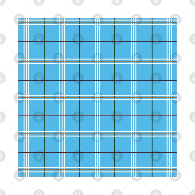 Sky Blue Plaid by PSCSCo