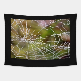 Nature's Pearls (#2) Tapestry