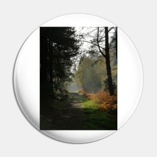 Forest Path in Fall Pin