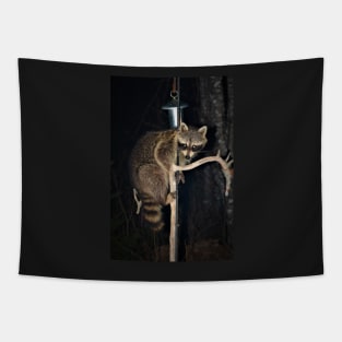 Night Bandit comes calling Tapestry