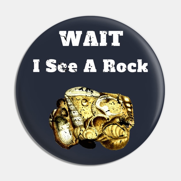 Wait I See A Rock Geology Fan Gift Pin by klimentina