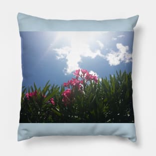 Pink Flowers And Sky Pillow