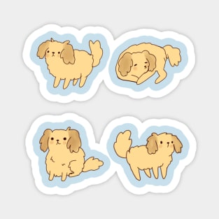 Cartoom American Cocker Spaniel pack Magnet