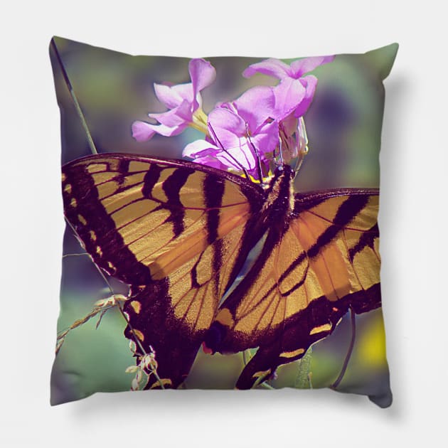 Yellow Swallow Tail Butterfly Pillow by saradaboru