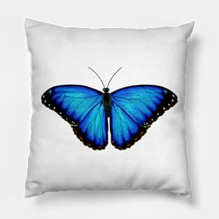 Blue Morpho Pillow