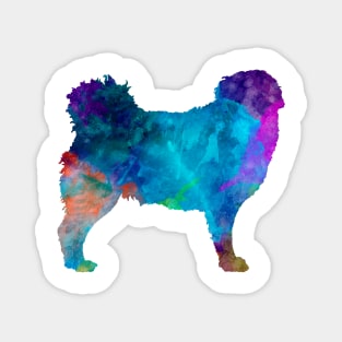 Frisian Water Dog in watercolor Magnet