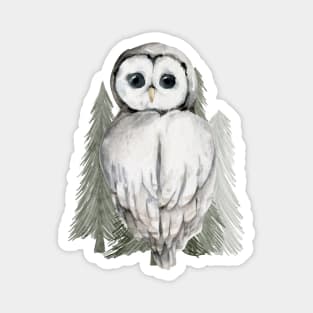 Watercolor baby owl Magnet