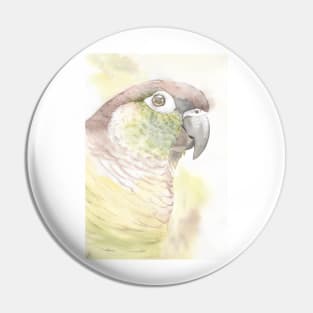 Green-cheeked parakeet watercolor portrait bird parrot Pin