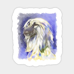 Afghan Hound head study. Masked Cream. Magnet