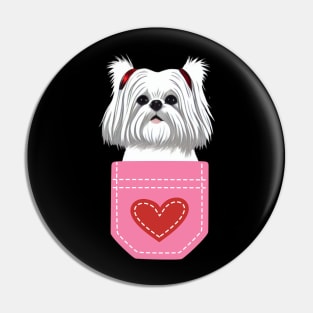 Fluffy Cute Crusty White Dog of Maltese Shih Tzu Pin