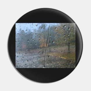 Rain on a fall day Pin