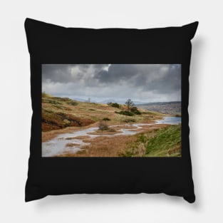 Autumn around Long Moss Tarn Pillow