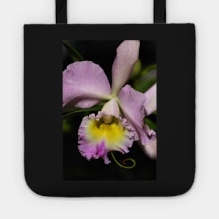 Cattleya Orchid in Pink & Mauve Tote