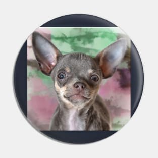 Cheeky Chihuahua Hello Funny Face art Pin