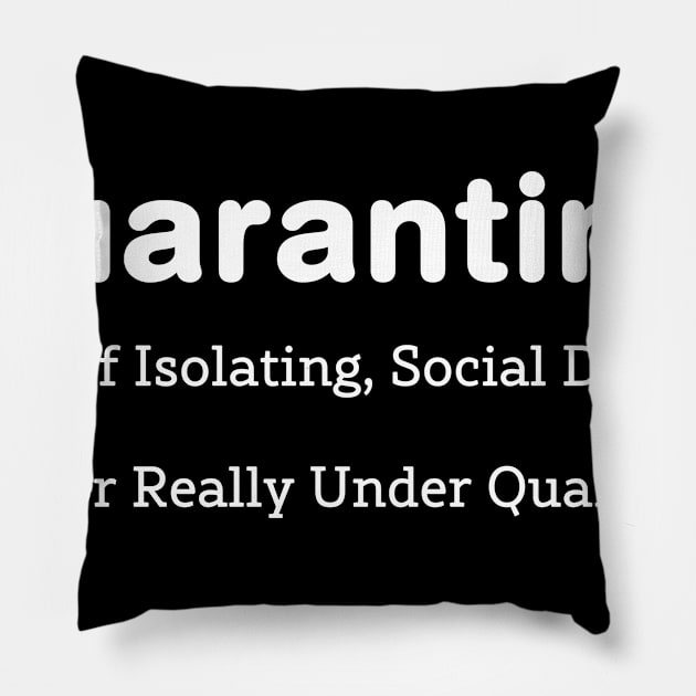 Funny Quarantine definition For men women Boys Gifts Pillow by barranshirts