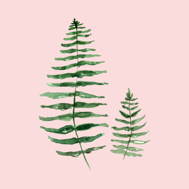 Ferns by KaylaPhan