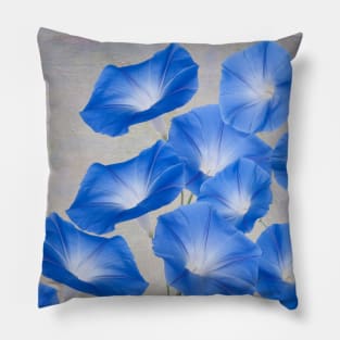 Blue Morning Glory Pillow