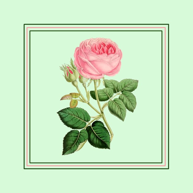 Pink Rose Botanical Throw Pillow by Scarebaby