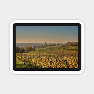 Burkheim village. Kaiserstuhl Magnet