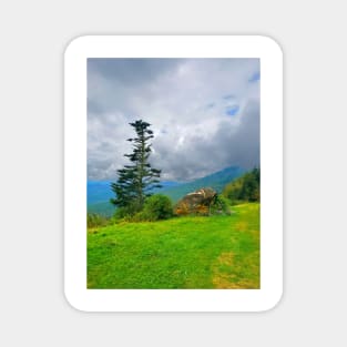 Tree and Rock on the Blue Ridge Parkway Magnet