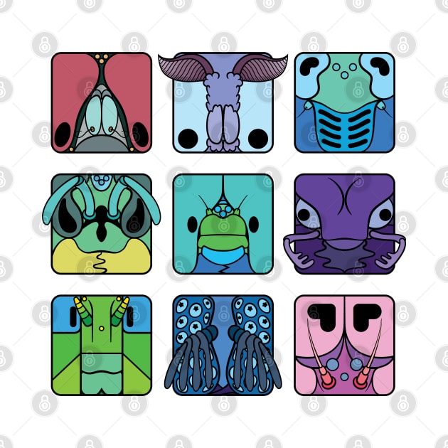 Insect orders cartoon head squares (cool colour theme) by TiffanyYau