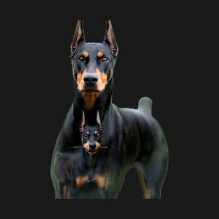 doberman and his son T-Shirt