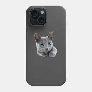 Russian Blue Cat Kitten Blue eyes Phone Case