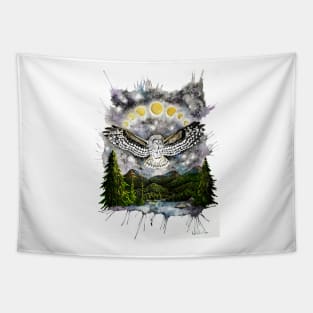 Owl Moonlight Lake Tapestry