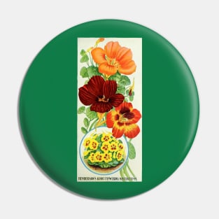 Nasturtiums of 1906 Pin