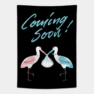 Mother's To Be, New Moms, Baby Announcement Cute, Storks, Coming Soon Design Tapestry