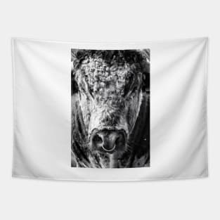 English Longhorn Bull Tapestry