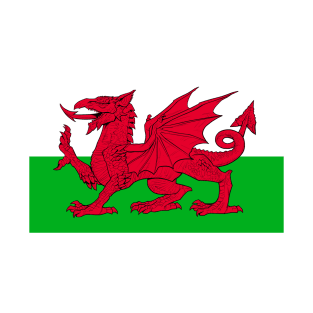 WELSH DRAGON T-Shirt