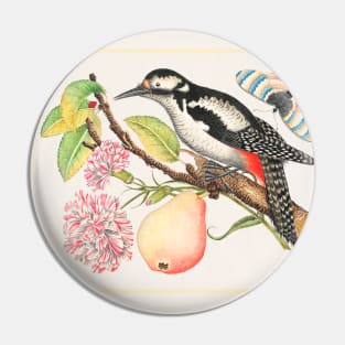 Bird Perched on a Branch with a Pear, Blossoms, and Leaves (18th Century) Pin