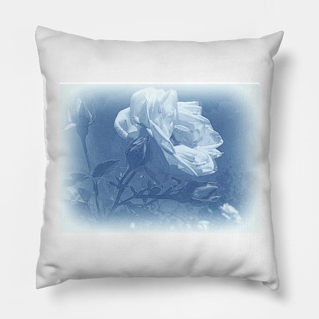 Rose in Blue Pillow by MAMMAJAMMA