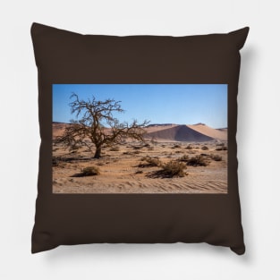 Acacia tree in the desert. Pillow