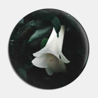 White Copihue Pin