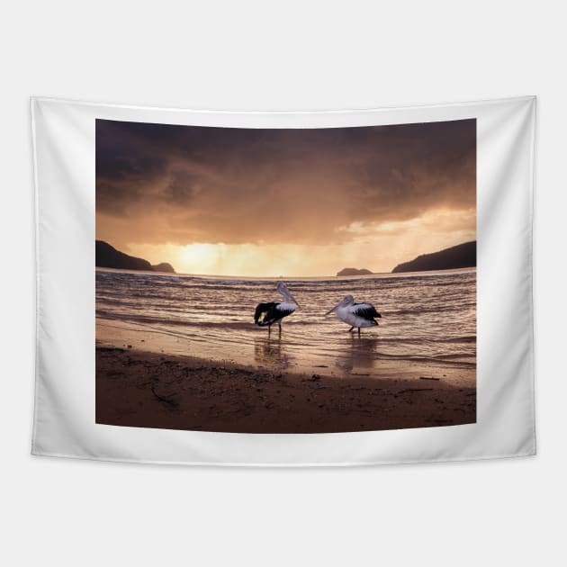 Pelicans At Sunrise Tapestry by Geoff79