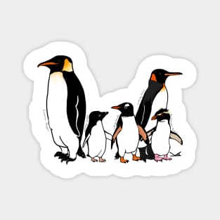 Penguin Posse Magnet