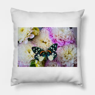 Butterfly On White And Purple Dahlias Pillow