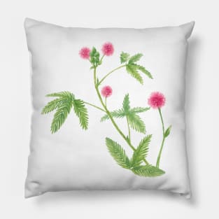 January 26th birthday flower Pillow