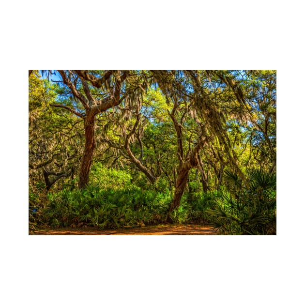 Cumberland Island National Seashore by Gestalt Imagery